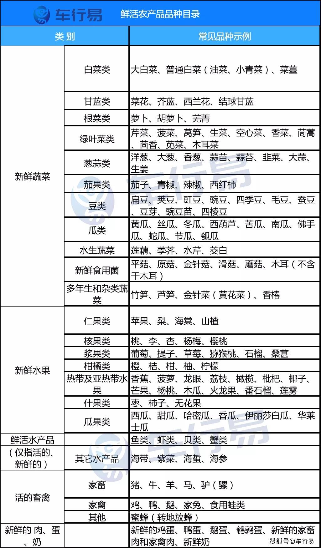新澳门管家婆100%精准跟2025年香港正版资料免费大全的全面释义、解释与落实、全面解答解释落实